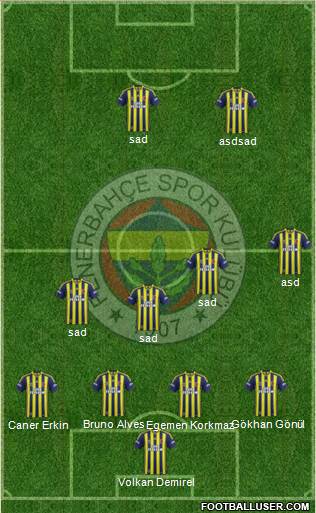 Fenerbahçe SK Formation 2013