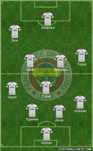 Fenerbahçe SK Formation 2013