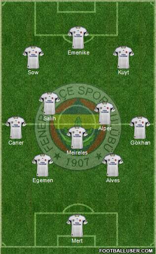 Fenerbahçe SK Formation 2013