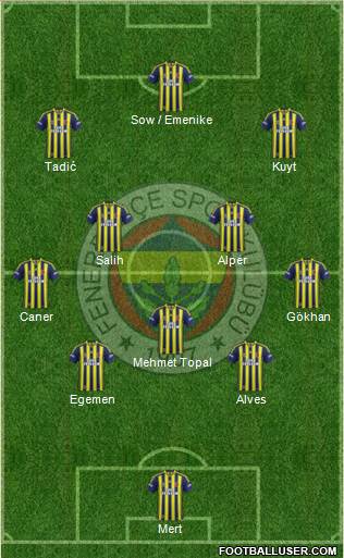 Fenerbahçe SK Formation 2013