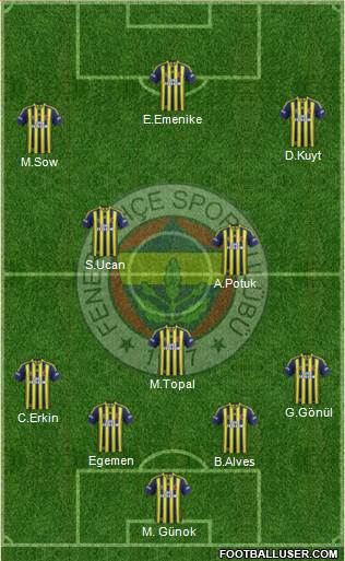 Fenerbahçe SK Formation 2013