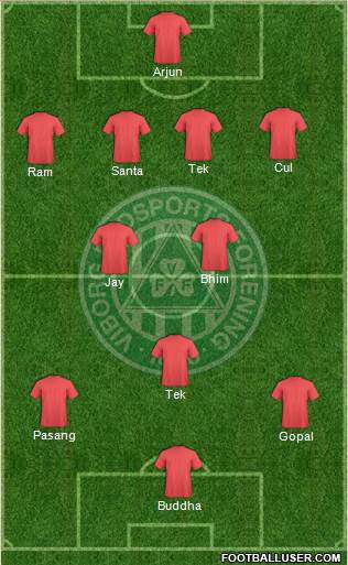 Viborg Fodsports Forening Formation 2013