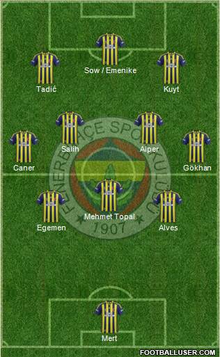 Fenerbahçe SK Formation 2013