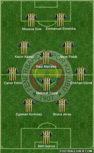 Fenerbahçe SK Formation 2013
