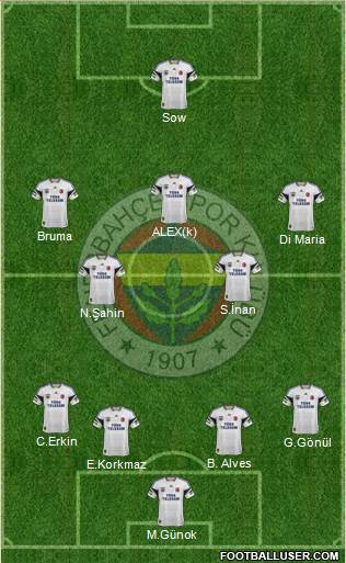 Fenerbahçe SK Formation 2013