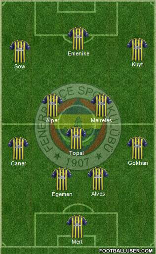Fenerbahçe SK Formation 2013
