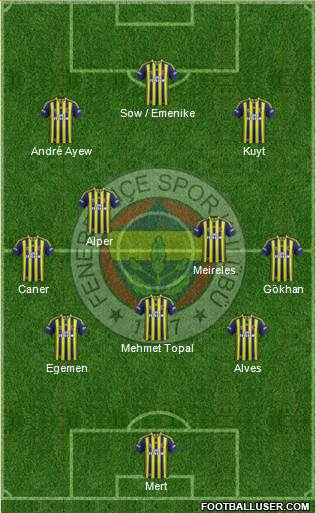 Fenerbahçe SK Formation 2013