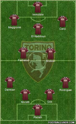 Torino Formation 2013