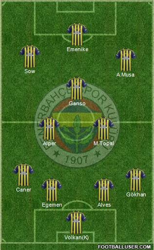 Fenerbahçe SK Formation 2013