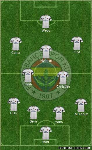 Fenerbahçe SK Formation 2013