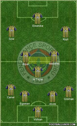 Fenerbahçe SK Formation 2013