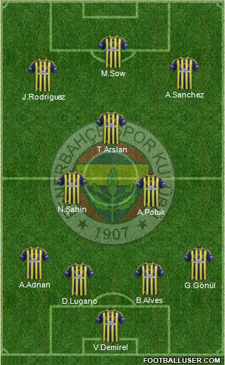 Fenerbahçe SK Formation 2013