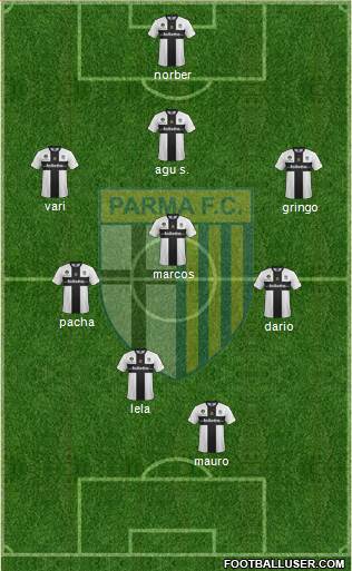Parma Formation 2013