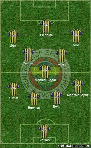 Fenerbahçe SK Formation 2013