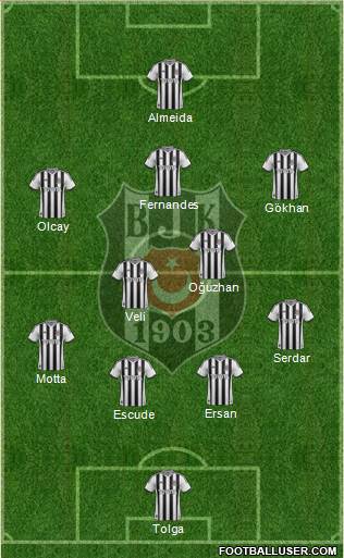 Besiktas JK Formation 2013