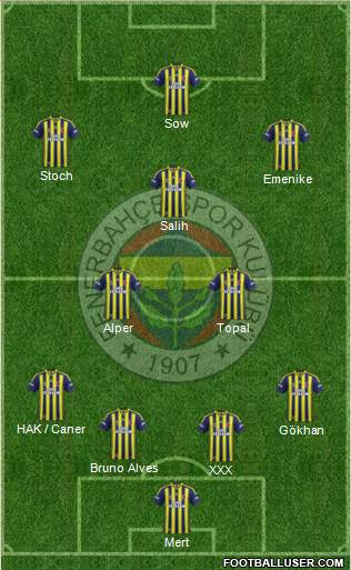 Fenerbahçe SK Formation 2013
