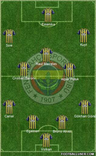 Fenerbahçe SK Formation 2013
