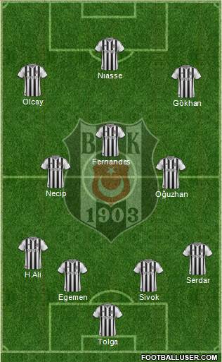 Besiktas JK Formation 2013