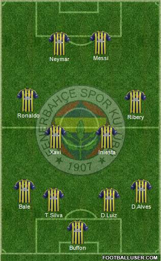 Fenerbahçe SK Formation 2013