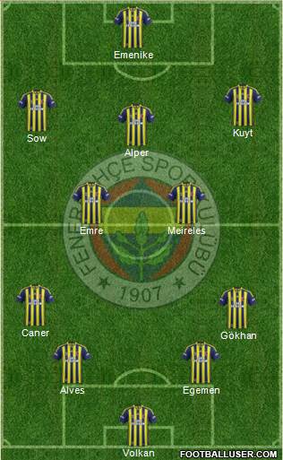 Fenerbahçe SK Formation 2013