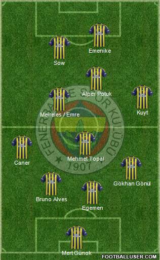 Fenerbahçe SK Formation 2013