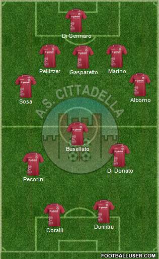 Cittadella Formation 2013