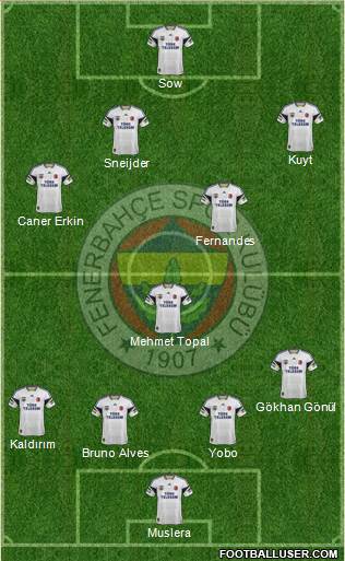 Fenerbahçe SK Formation 2013