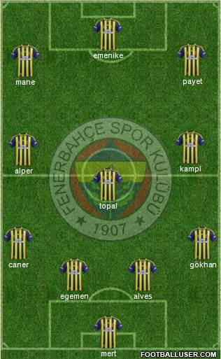 Fenerbahçe SK Formation 2013