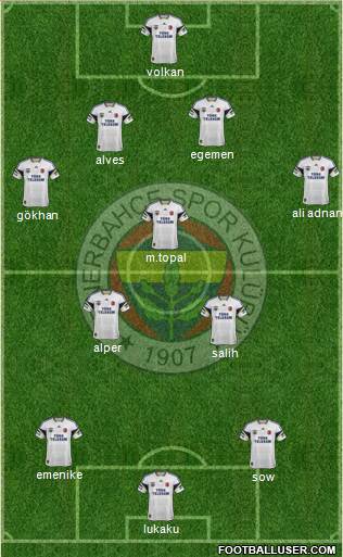 Fenerbahçe SK Formation 2013