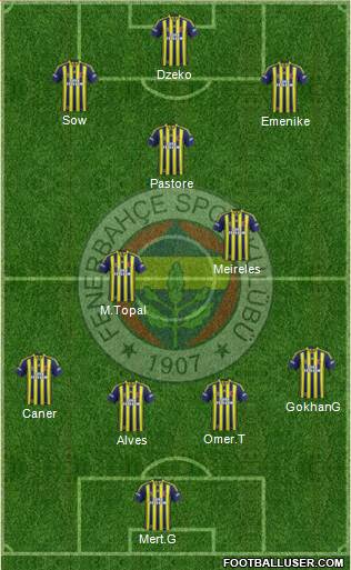 Fenerbahçe SK Formation 2013