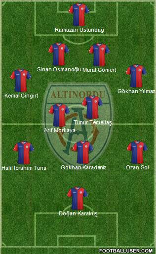 Altinordu Formation 2013