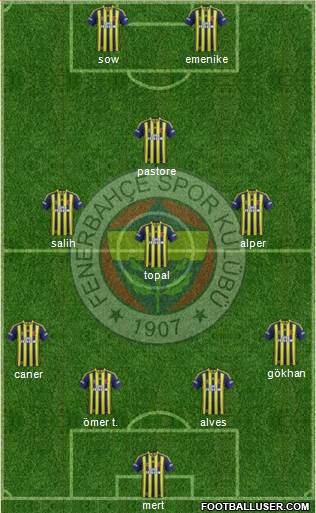 Fenerbahçe SK Formation 2013