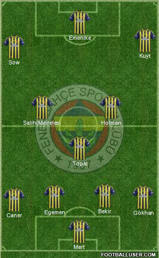 Fenerbahçe SK Formation 2013