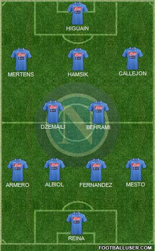 Napoli Formation 2013