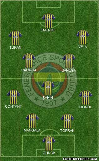 Fenerbahçe SK Formation 2013