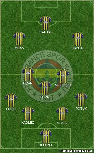 Fenerbahçe SK Formation 2013
