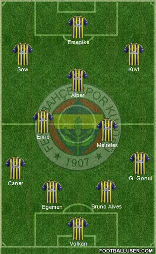 Fenerbahçe SK Formation 2013