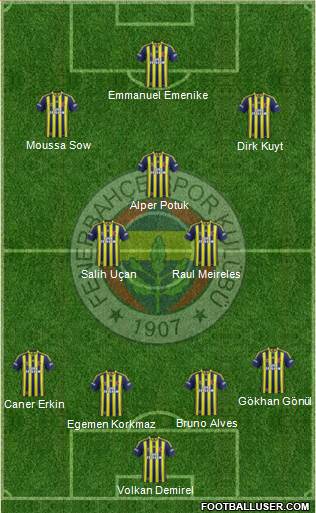Fenerbahçe SK Formation 2013