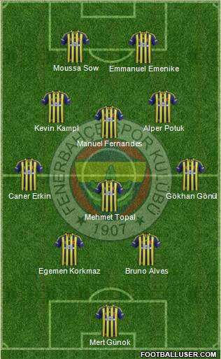 Fenerbahçe SK Formation 2013