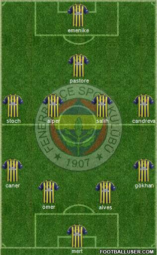 Fenerbahçe SK Formation 2013