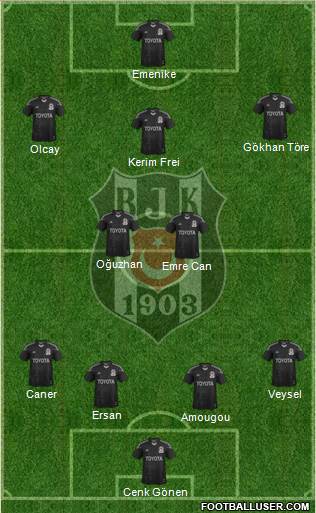 Besiktas JK Formation 2013