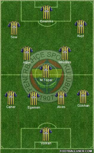 Fenerbahçe SK Formation 2013