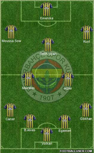 Fenerbahçe SK Formation 2013