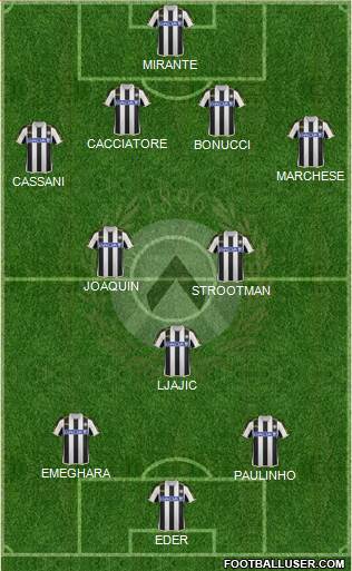 Udinese Formation 2013