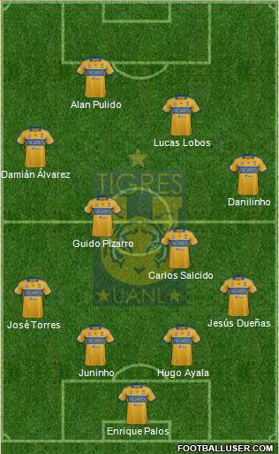 Club Universitario de Nuevo León Formation 2013