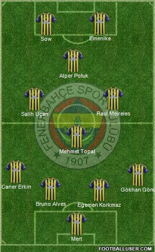 Fenerbahçe SK Formation 2013