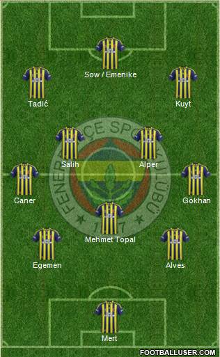 Fenerbahçe SK Formation 2013