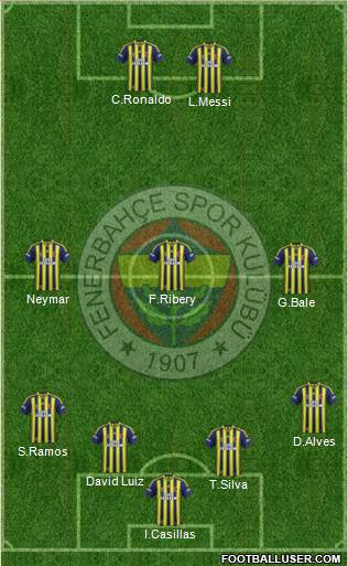 Fenerbahçe SK Formation 2013