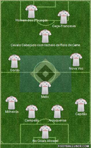 Hamburger SV Formation 2013