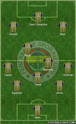 Fenerbahçe SK Formation 2013